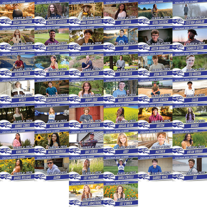 Pullman High School Senior Yard Sign 18x24 —